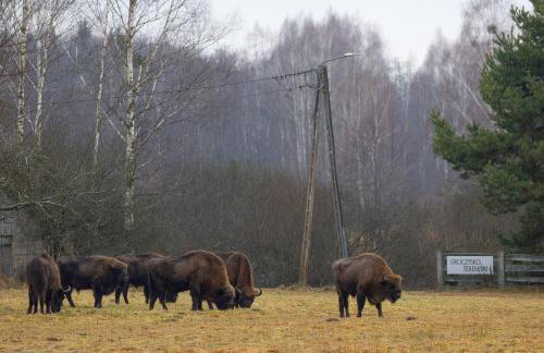 Uroczysko Teremiski - Foto 2