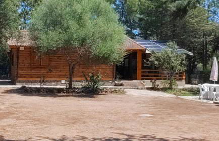 Casa vacanze Berchida - Foto 21