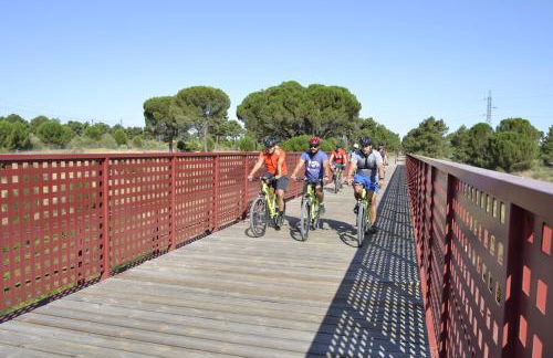 La Casona de los Cinco Caños - Foto 31