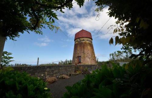 O Moinho Da Bibi - Photo 23