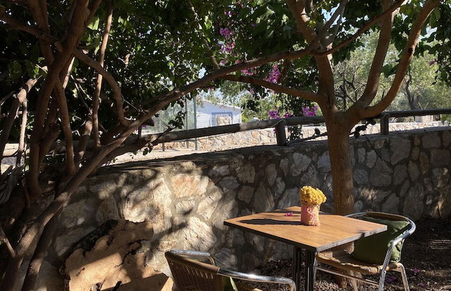 Belfin Apart - Photo 20