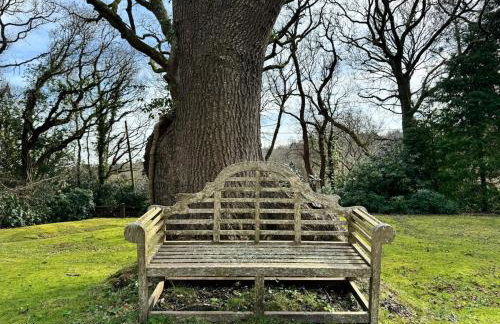 Little Luckford - Foto 21