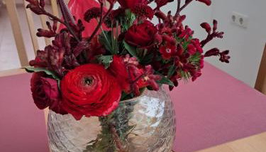 3 Zimmer Wohnung am Hövelhofer Stadtwald - Foto 3