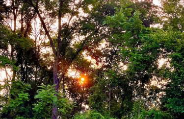 Rose Porch, Historic home on acre lot 25 min from Nashville - Photo 27