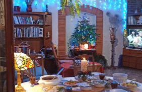 Dom Pod Złotym Bażantem - Foto 1