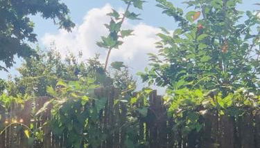 Zentrales Apartment mit Terrasse - Foto 4