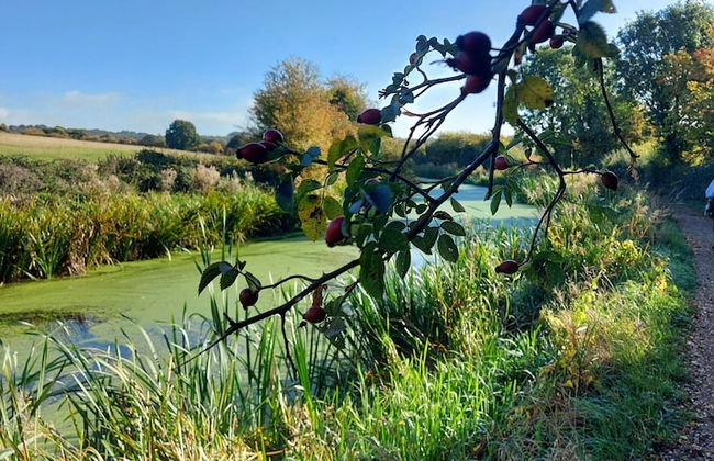 Chatterley House - Foto 55