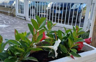 Casa Gimaga - Foto 31