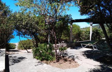 Casula Mediterranea - Foto 3