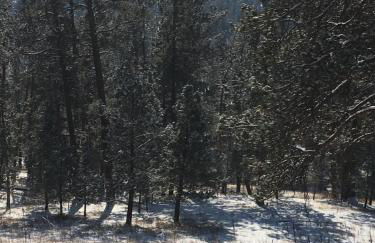 Priceless Black Hills View - Foto 54