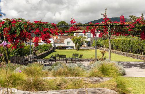 Guava Azores - Photo 9