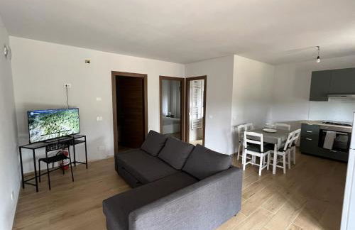 Tra il bosco e il lago - Foto 16