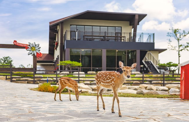 Kensington Resort Seorak Valley - Foto 63