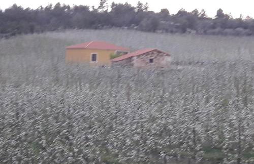 Casa do Feitor - Douro - Quinta da Cabrida - Foto 60