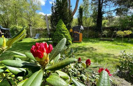 Ferienhaus Ankerherz - Foto 62