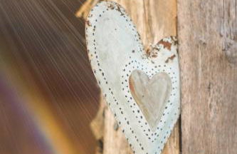 Ferienwohnung Vogelschar Urlaub auf dem Lebenshof - Foto 6