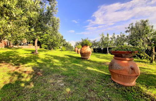 Il Palagio - Foto 31