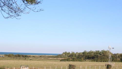 La Maison Bleue au coeur des Plages du Débarquement - Photo 5