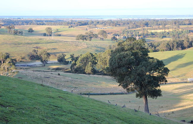 Down to Earth Farm Retreat - Foto 42