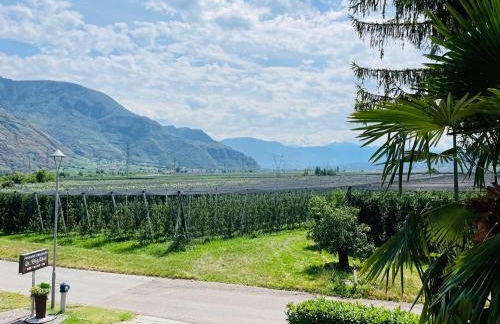 St. Vigilhof - Photo 23