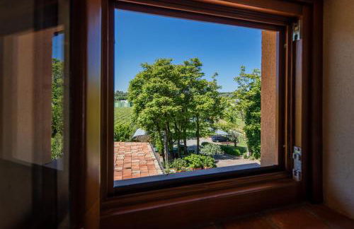 APPARTAMENTO CASA VACANZA AGRITURISMO BORGO di CALMASINO - Foto 18