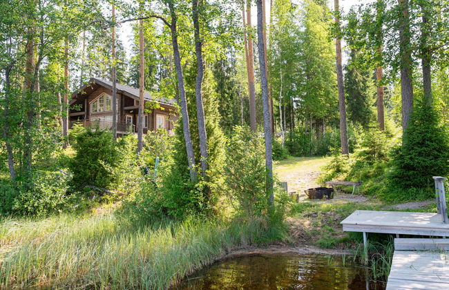 Apilan rauha - Foto 29