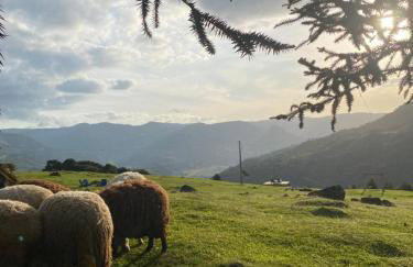 Pousada Colina dos Ventos - Cabana Fortaleza! - Photo 37