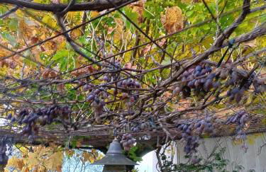 Eleni Country Cottage 2 - Foto 58