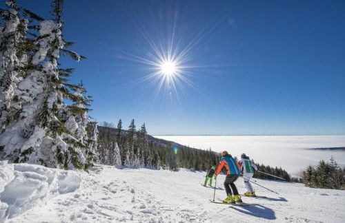 Ferienwohnung Holzinger - Foto 31