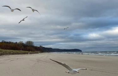 TOP VIEW SKY & SEA- Maloves Władysławowo - Prywatny apartament na wynajem -widok na morze ,taras ,aneks - Foto 49