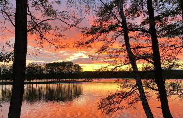 Pensjonat Rybical - Foto 41