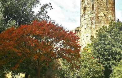 Una pausa dalla città - Foto 40