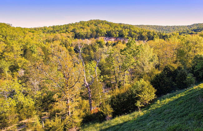 Branson Condo Resorts Silver Dollar City - Foto 45