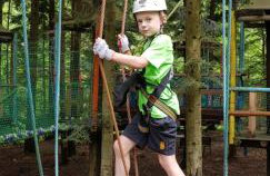 Willa Lawenda- Pokój Superior 7 - Foto 13