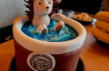 Osada Miłojeż - całoroczne Domy Premium w Borach Tucholskich, Jacuzzi pod gwiazdami - Foto 77