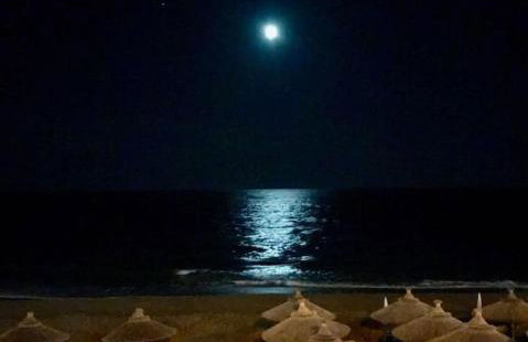 LEMONELIA, one big,4-5 people and one small apartment ,2-3 people - Foto 19