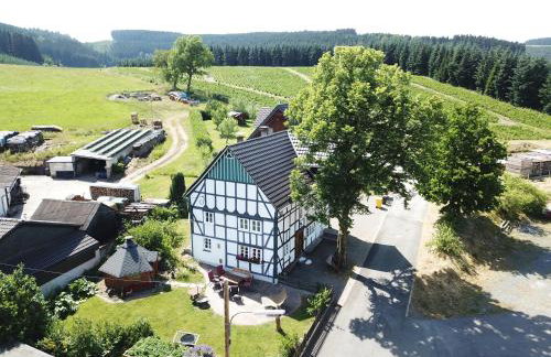 Ortmanns Eulennest - Foto 1