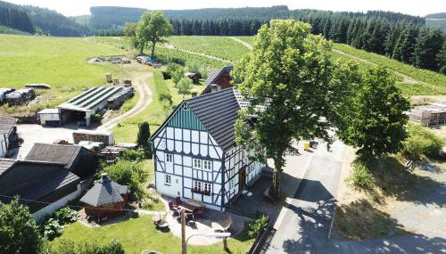 Ortmanns Eulennest - Foto 1, Garden, Garden view