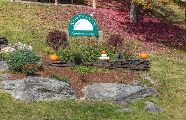 57 North Lynx 3 Bedroom Condo by RedAwning - Foto 29