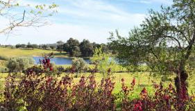 Quinta da Alma Cheia - Foto 5