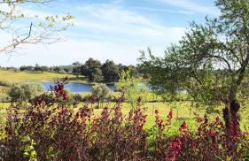 Quinta da Alma Cheia - Foto 5