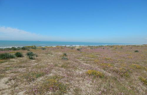 Residence Stabilimento Roma - Foto 8