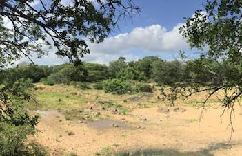 Villa Kudu - Foto 40