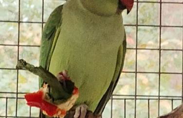 Apartament Nad Jeziorem Brenno - Foto 18