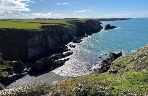 Cuddfan Fach - Pembrokeshire Stunning Barn near the Coastal Path - Foto 42