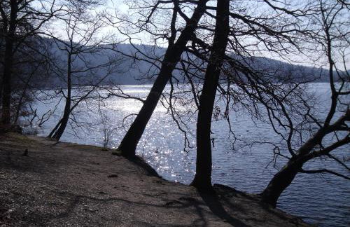 Ferienwohnung Am Waldrand - Foto 19