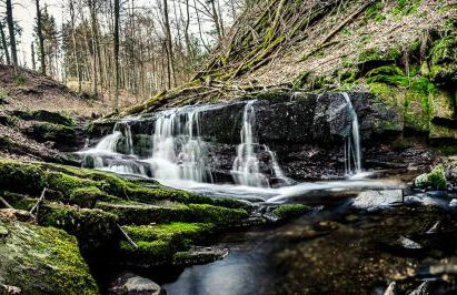 Landhaus Rhönium - Foto 27