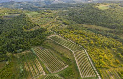 Holiday Home Villa Anita by Interhome - Foto 86