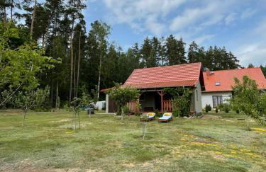 Leśna Ostoja - Foto 2