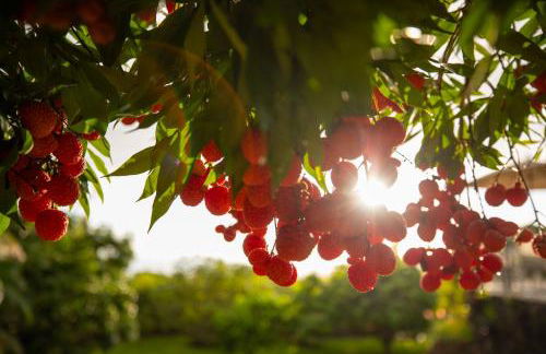 Affordable Luxury on One Acre - Foto 11